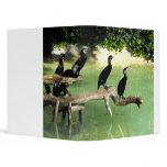 Five cormorants in Spain Vinyl Binder