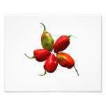 Five Hot Habanero Peppers Photograph