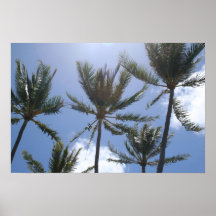 Five Perfect Palms Poster