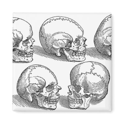 Five Skulls Refrigerator Magnet by VintageHolidays