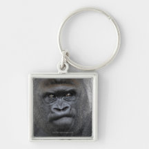 Flachlandgorilla, Gorilla gorilla, Key Chain