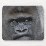 Flachlandgorilla, Gorilla gorilla, Mouse Pads