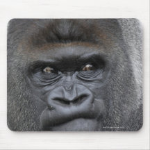 Flachlandgorilla, Gorilla gorilla, Mouse Pads