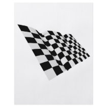 flag flyers