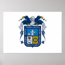 Flag of Aguascalientes Posters