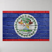 Flag of Belize Print