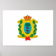Flag of Durango Print