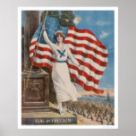 Flag of Freedom Poster