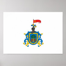 Flag of Jalisco (heraldry) Print