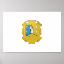Flag of San Luis Potosi Poster