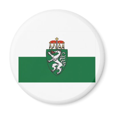 Flag of Styria, Austria Refrigerator Magnet by Vexillophile