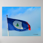 Flag of Warren County Print