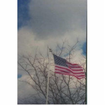 flag photo sculpture