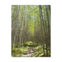 Flagstaff aspen postcard