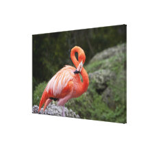 Flamant rose toile tendue sur châssis