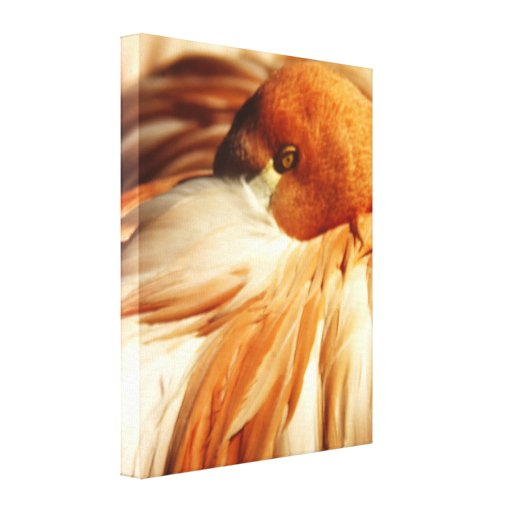 Flamant Toile Tendue Sur Châssis