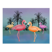 Flamants fabuleux carte postale