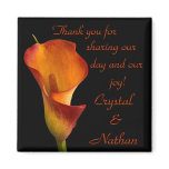 Flame Calla Lily