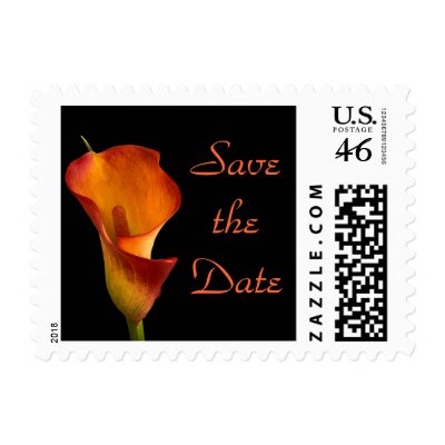 Flame Calla Lily Postage Stamp by SweetRascal