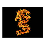 Flame Dragon Postcard