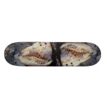 Flame helmet (Cassis flammea) Shell Skate Board