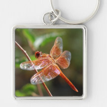 Flame Skimmer Dragonfly Key Chains