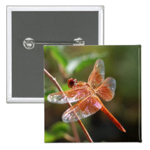 Flame Skimmer Dragonfly Pins