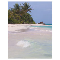 Flamenco Beach Culebra Puerto Rico Full Color Flyer