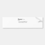 FLAMER (definition) Bumper Sticker