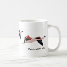 flamingo-3 tasse