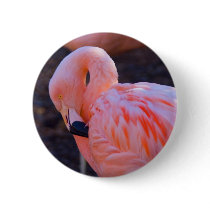 Flamingo Button