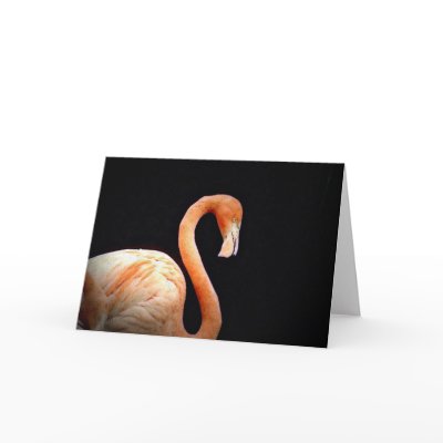 Flamingo Greeting Cards by JennieM