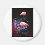 FLAMINGO copy Refrigerator Magnet