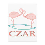 Flamingo Czar