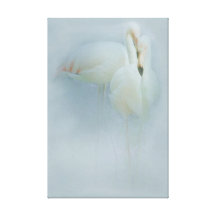 FLAMINGO FANDANGO CANVAS STRETCHED CANVAS PRINT