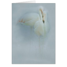 FLAMINGO FANDANGO GREETING CARD