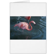 Flamingo Greeting Card
