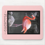 Flamingo Mouse Pads