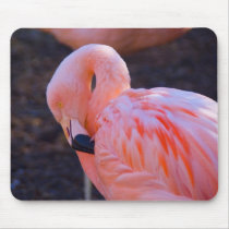 Flamingo Mousepad