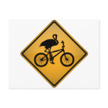 Flamingo on Bicycle Post Cards