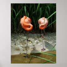 Flamingo Pair Print