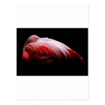 Flamingo pins, key chains & mugs post card