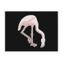 flamingo post cards