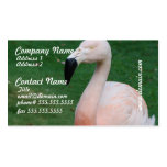 Flamingo Stroll Business Cards