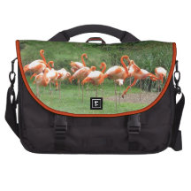 Flamingoes Laptop Bag