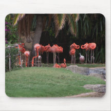 Flamingoes mousepad
