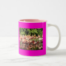 Flamingoes Mug