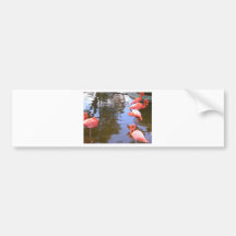 Flamingos Bumper Stickers