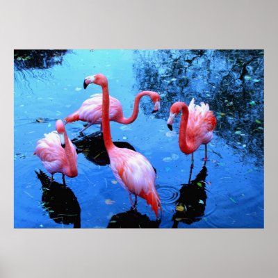 Flamingos Dancing Print by ANGELHELEN