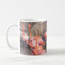 Flamingos Mugs